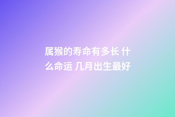 属猴的寿命有多长 什么命运 几月出生最好